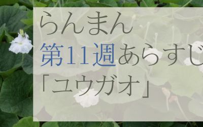 らんまん第11週のあらすじとネタバレ