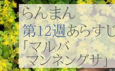 らんまん第12週のあらすじとネタバレ