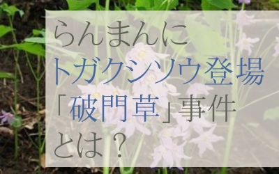 らんまんのトガクシソウ破門草事件とは？
