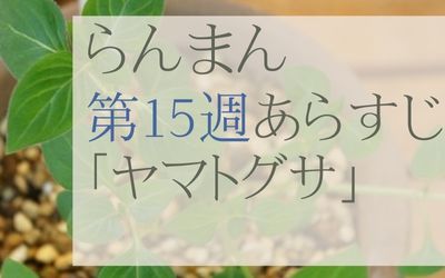 らんまん第15週のあらすじとネタバレ