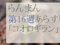 らんまん第16週のネタバレとあらすじ