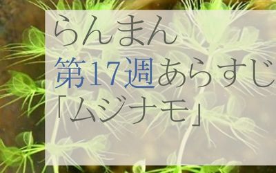 らんまん第17週のネタバレとあらすじ