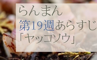 らんまん第19週のネタバレとあらすじ